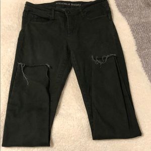 Articles of Society- Dark Green Pants